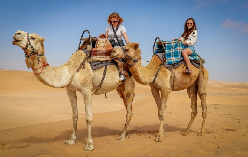 Camel Ride Tours