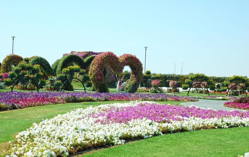 Dubai City Tour With Miracle Garden