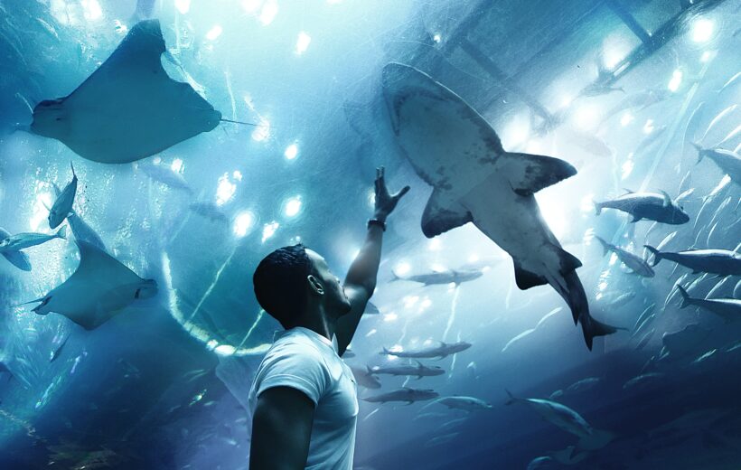 Dubai Aquarium & Underwater Zoo